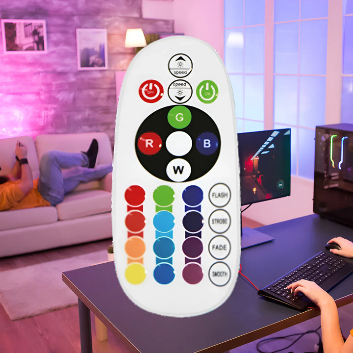 Contrôleur RGB pour Ruban LED 220V 5050 jusqu'à 50m