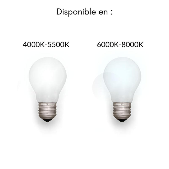 Tube néon LED 150cm T5 24W (Pack de 10)