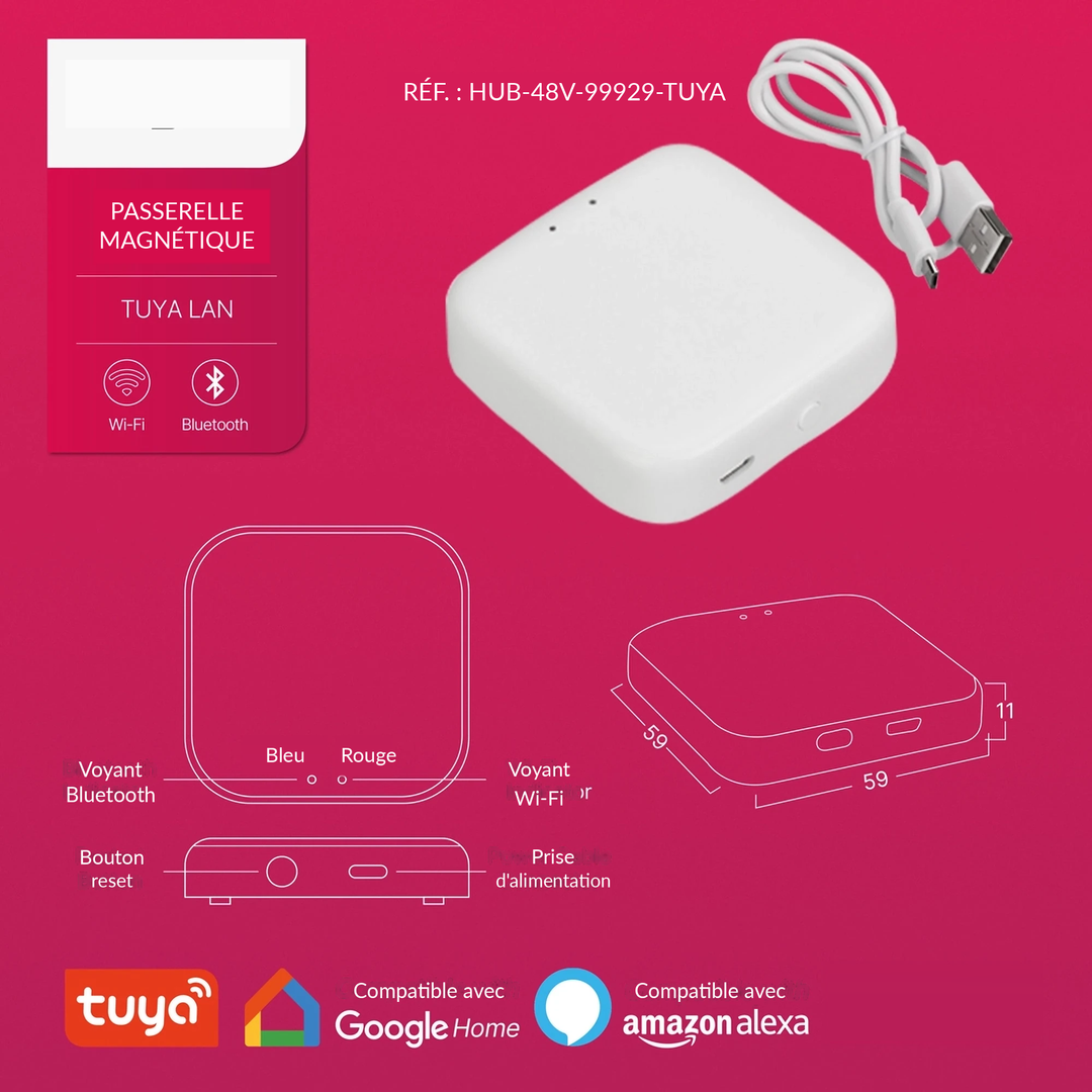 Infographie HUB-48V-99929-TUYA