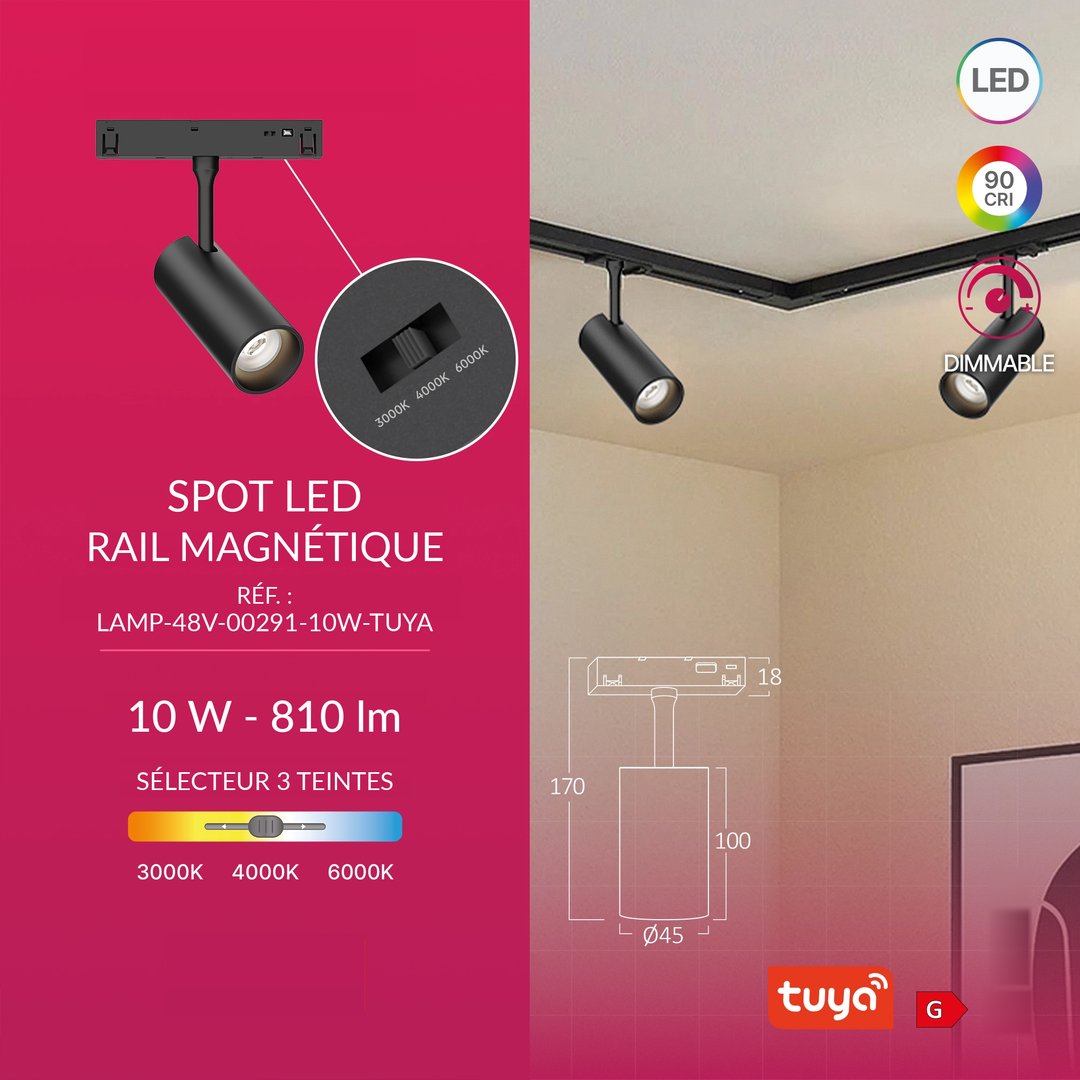 Infographie LAMP-48V-00291-10W-TUYA