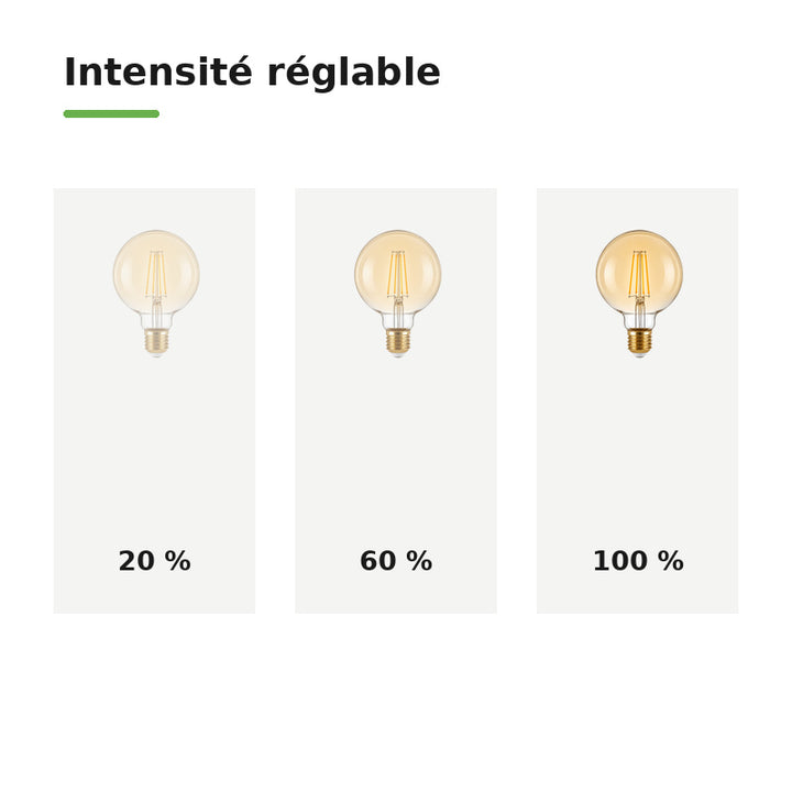 Ampoule à Filament LED E27 8W Dimmable G95