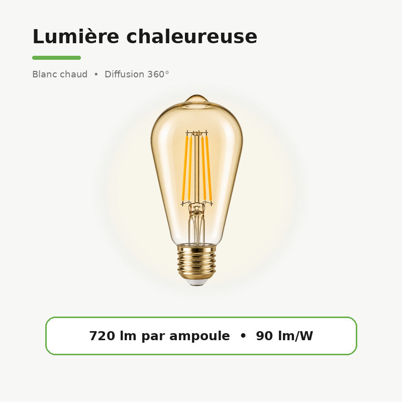 Ampoule LED E27 à filament 8W ST64