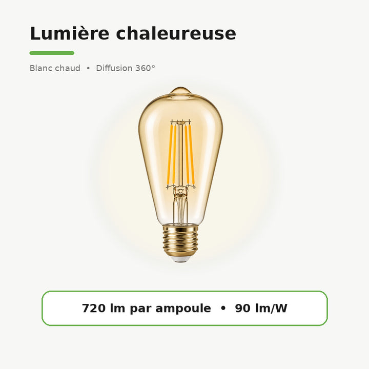 Ampoule LED E27 à filament 8W ST64