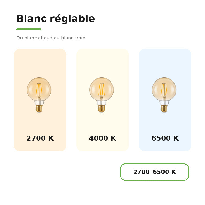 Ampoule LED Connectée 4W CCT 2700-6500k Wifi E27 G95