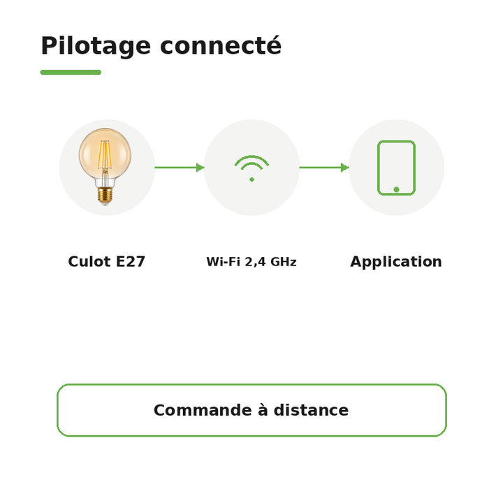 Ampoule LED Connectée 4W CCT 2700-6500k Wifi E27 G95