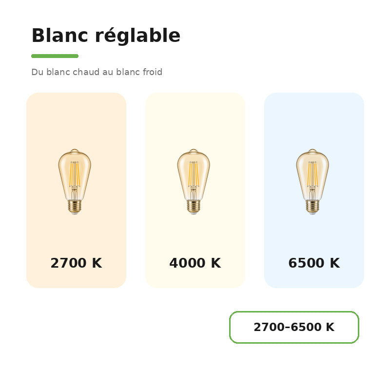 Ampoule Connectée Wifi 4W CCT 2700-6500k E27 ST64