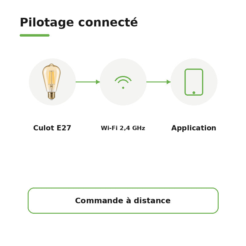 Ampoule Connectée Wifi 4W CCT 2700-6500k E27 ST64