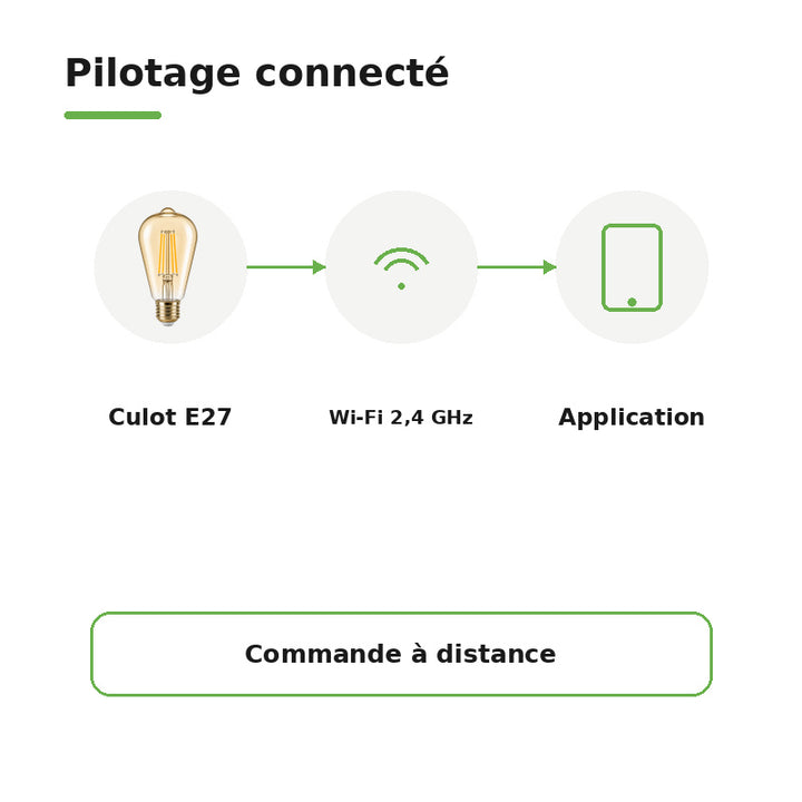 Ampoule Connectée Wifi 4W CCT 2700-6500k E27 ST64