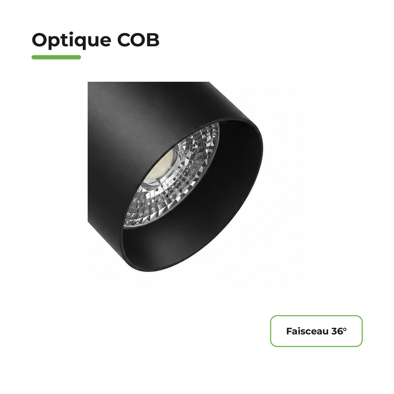 Pack 10 Spot LED sur Rail COB Triphasé 40W 36° Noir