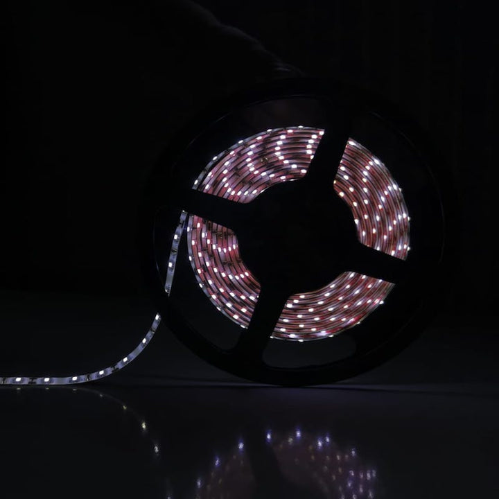 Bandeau LED 12V 5m 2835 60LED/m IP44