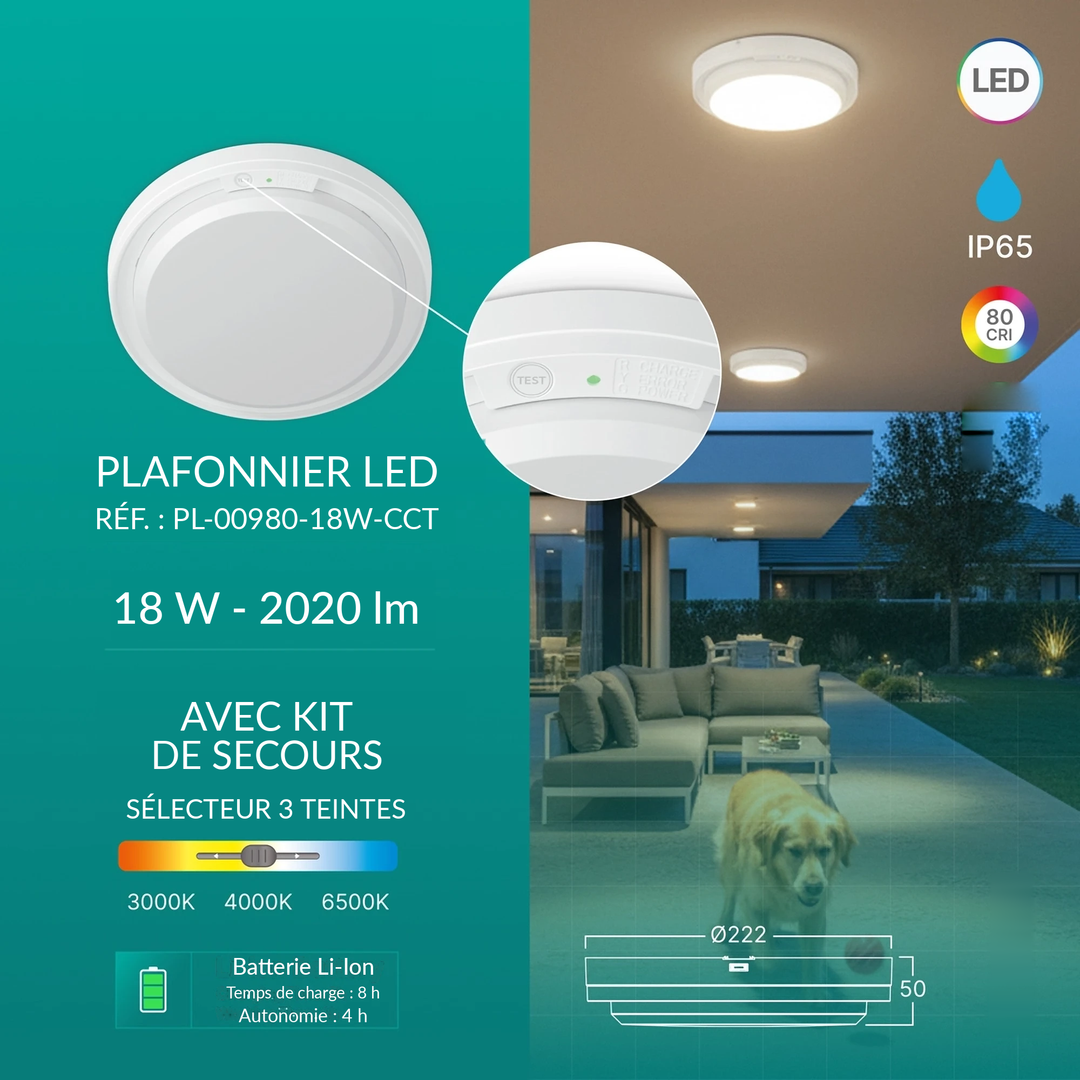 Infographie PL-00980-18W-CCT