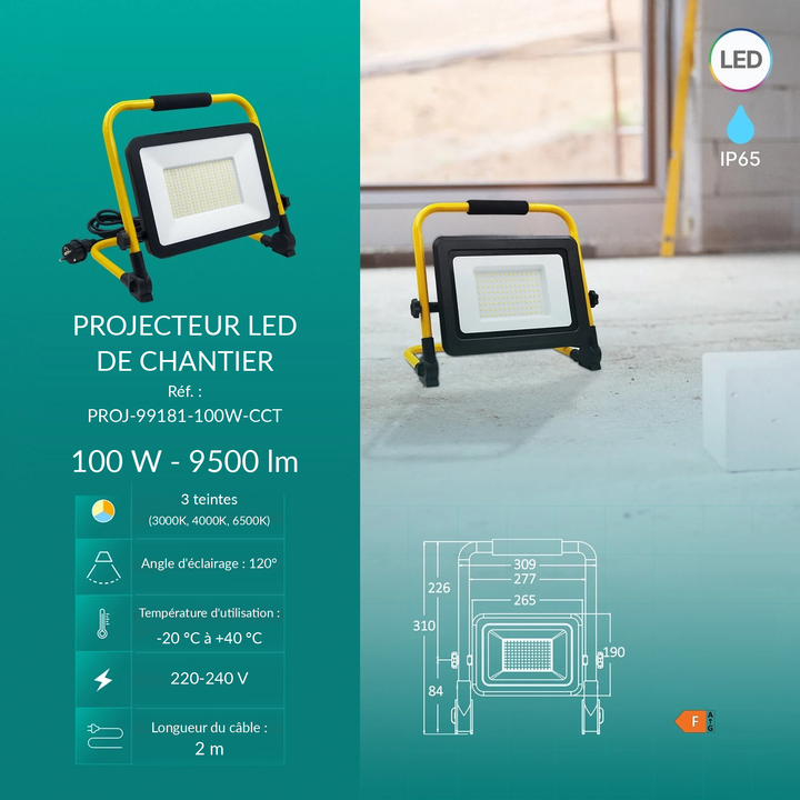Infographie PROJ-99181-100W-CCT