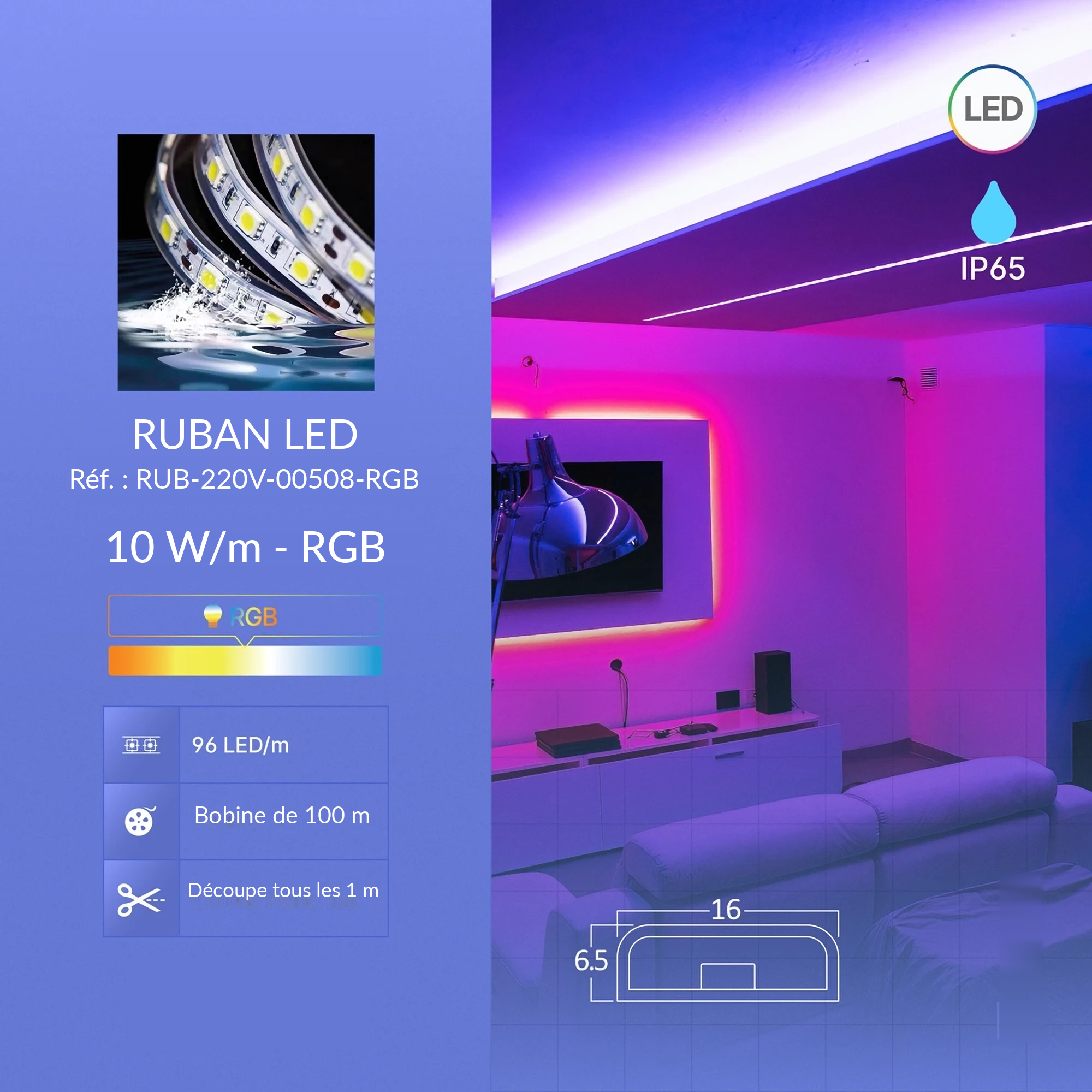 Infographie RUB-220V-00508-RGB