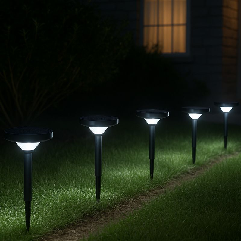 Lampe de Jardin Solaire à Piquet IP65 90lm (lot de 2)