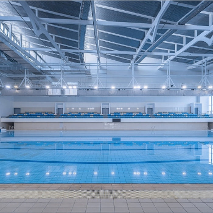 Lampe de Piscine 24W Submersible Acier Inoxydable IP68 DC24V