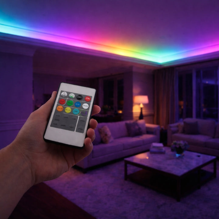 Contrôleur RGB & Alimentation pour Ruban LED 220V RGB