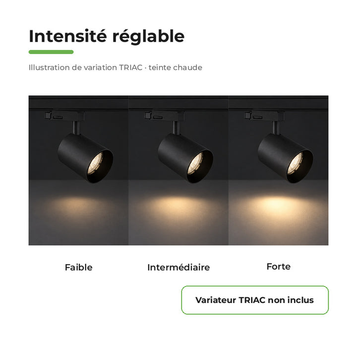 Pack 10 Spot LED sur Rail Triphasé 24W Dimmable TRIAC 36° Noir