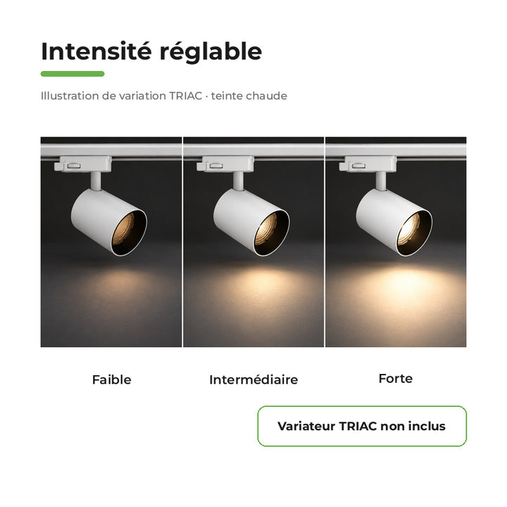 Pack 10 Spot LED sur Rail Triphasé 24W Dimmable TRIAC 36° Blanc