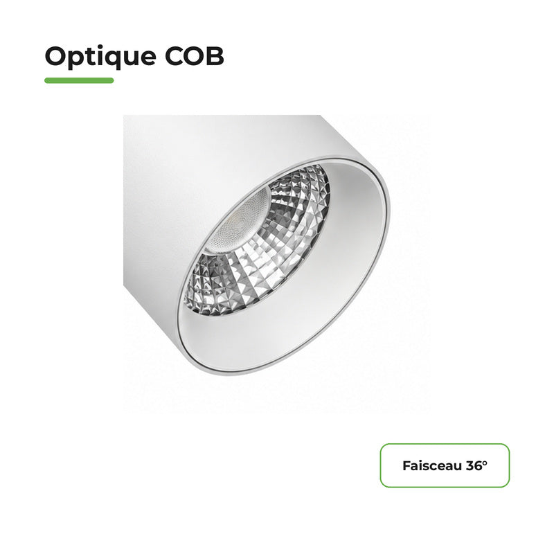 Spot LED sur Rail COB Triphasé 40W 36° Blanc