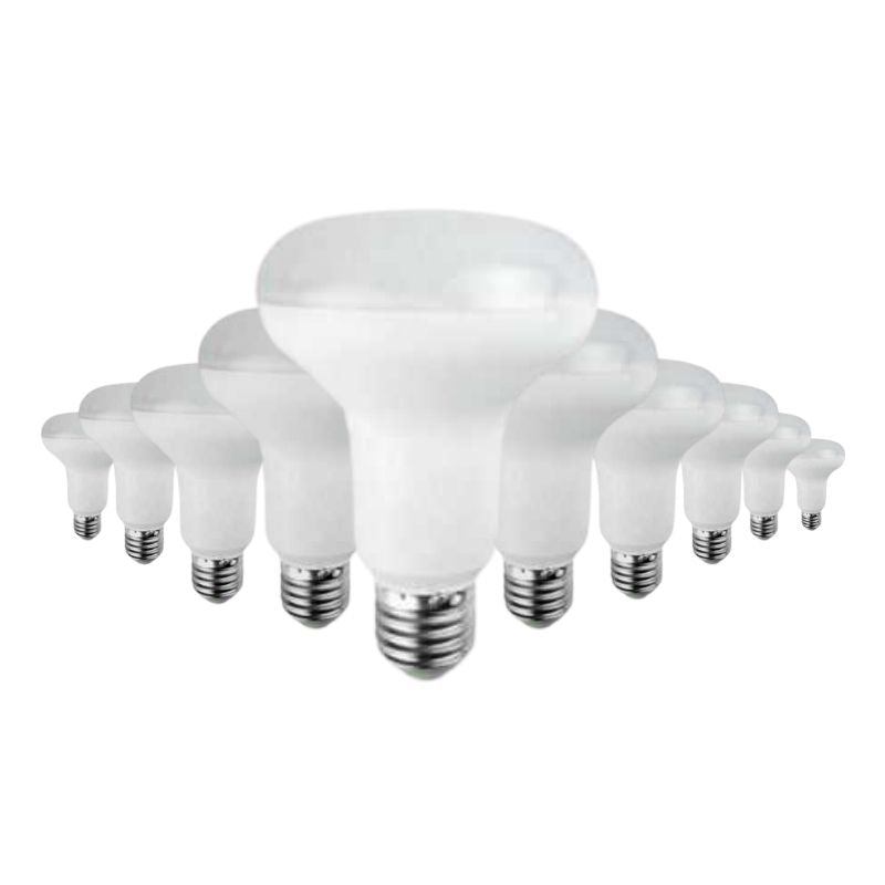 Bulb E27 LED 10W 220V R80 120 °