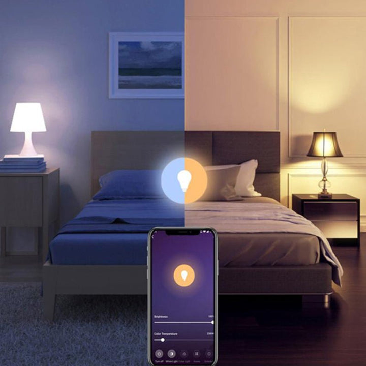 Ampoule LED Connectée Wifi E27 11W G95 RGBW (Pack de 10)