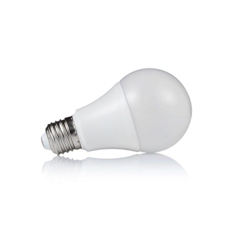 LED -lamp E27 12W 220V A60 dimpelbaar