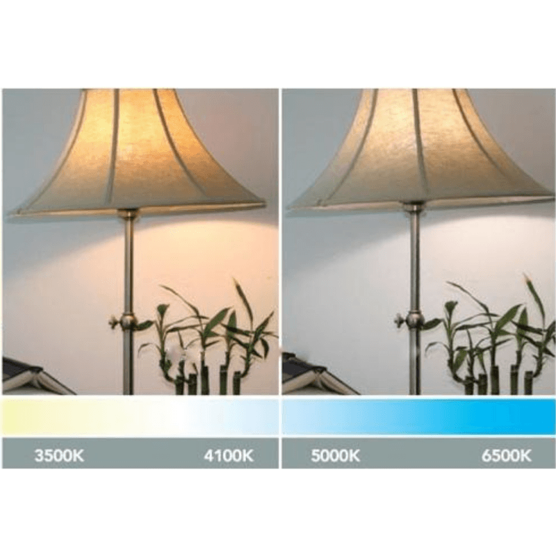 Ampoule LED GU4 / MR11 4W 12V (Pack de 10)