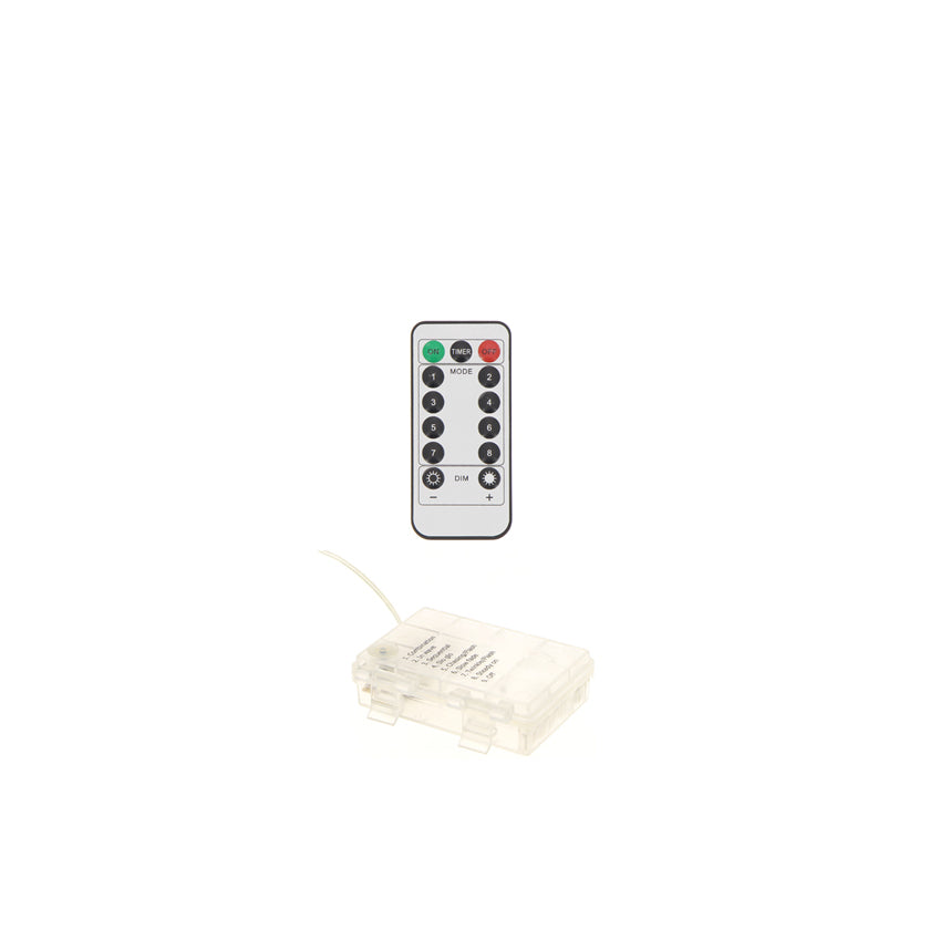 Light ball 20led cold white Ø19cm + remote control