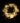 Guirlande Rideau lumineux 600LED IP44 10M - câble transparent