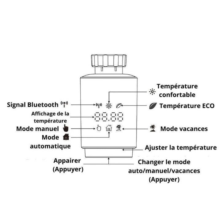 Cabeza termostática conectada universal