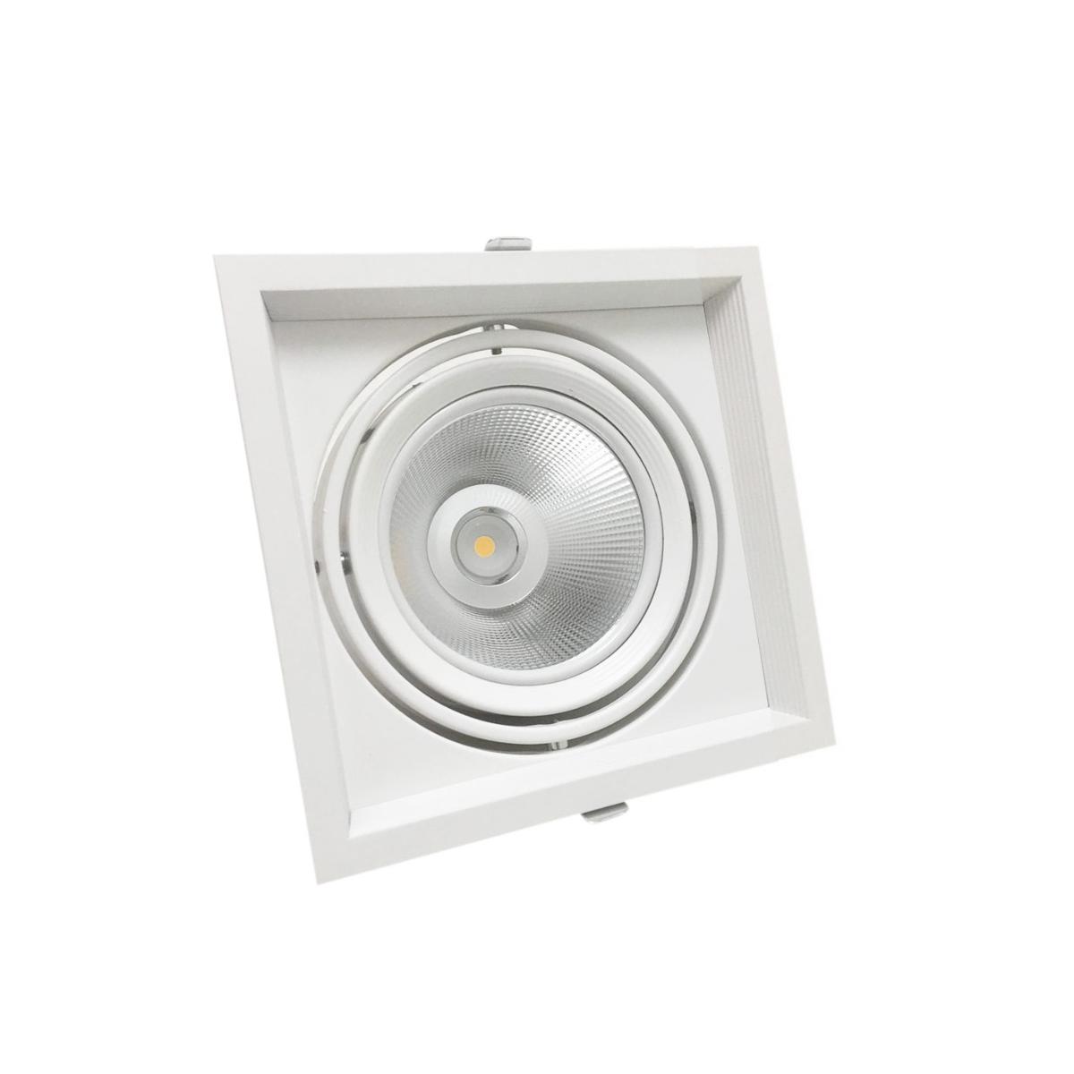 AR111 Build -En Ajuste Assistant com LED 20W Bulb