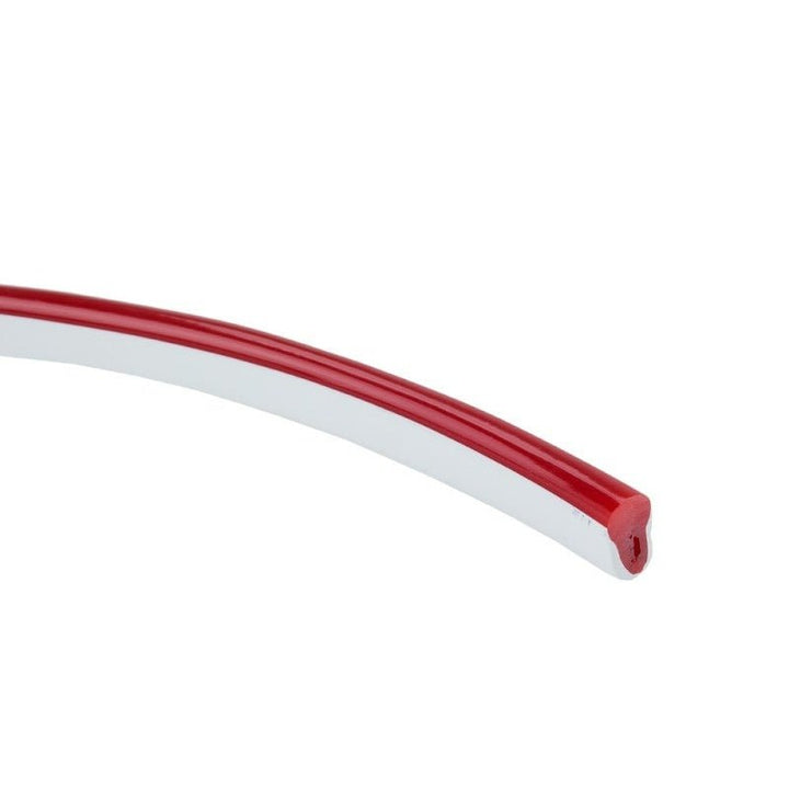 Néon Flexible LED 220V IP65 1m
