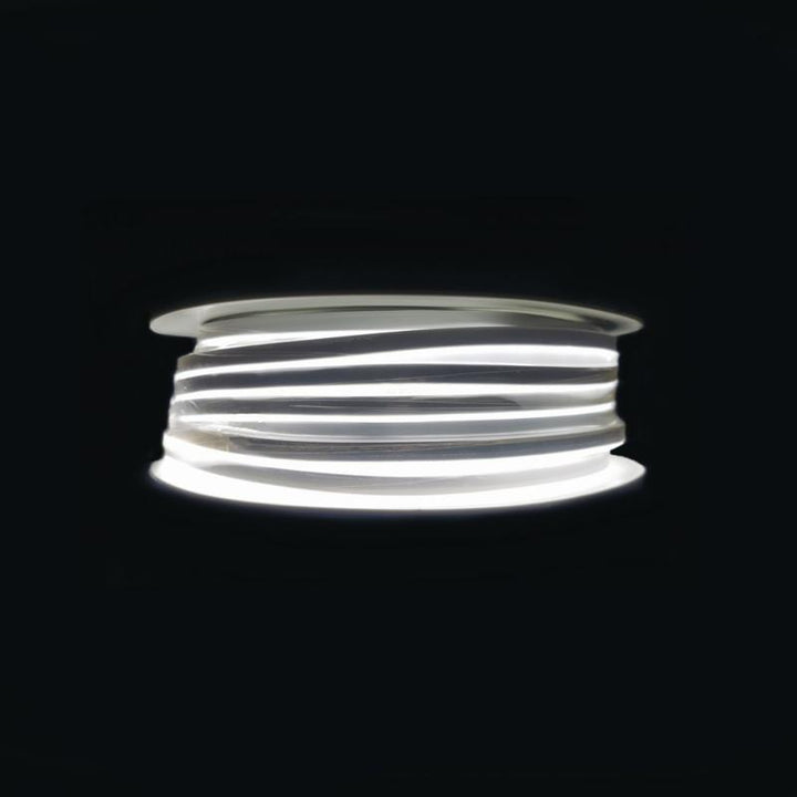 Néon Flexible LED 24V IP65 120LED/m 50m