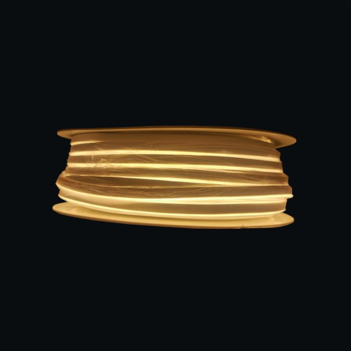 Néon Flexible LED 24V IP65 120LED/m 50m