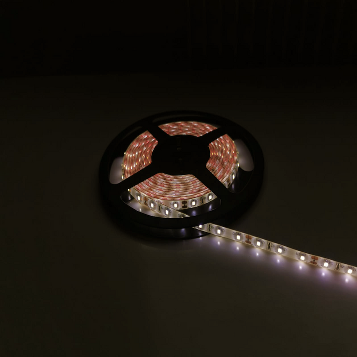Bandeau LED 12V 5m 5050 60LED/m IP44