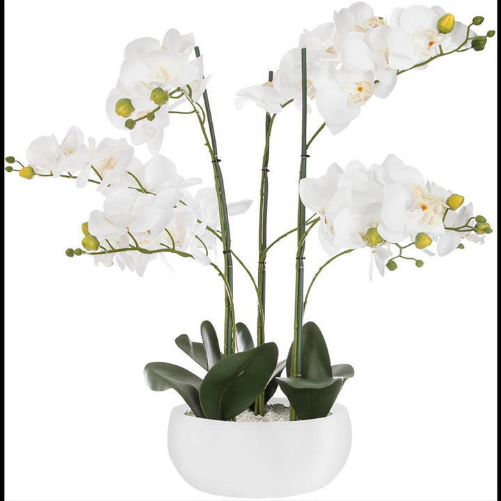 Künstliche Orchidee 65 cm mit Keramiktopf – einfarbig