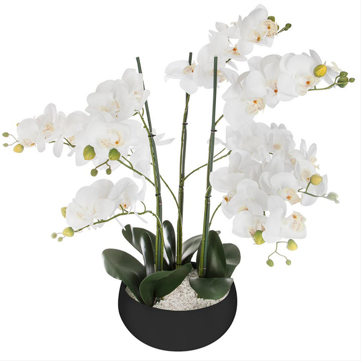 Orchidée Artificielle 65cm avec Pot en Céramique - Couleur Uni