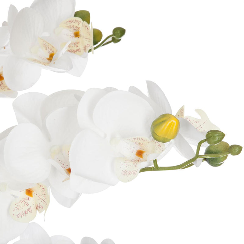 Orchidée Artificielle 65cm avec Pot en Céramique - Couleur Uni