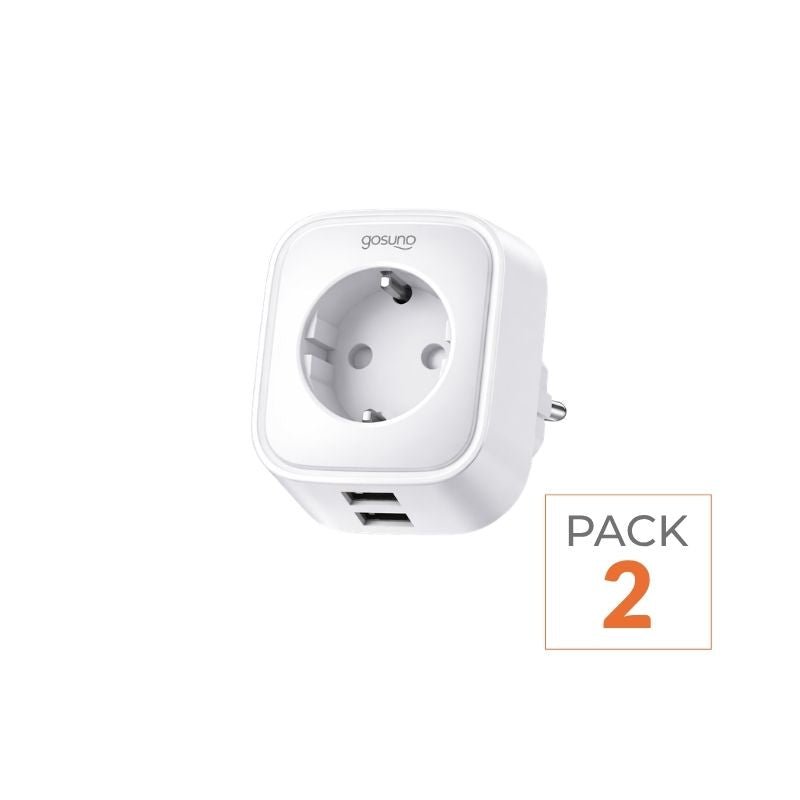 Prise Connectée Wifi 16A avec 2 Ports USB 2.1A - Pack de 2