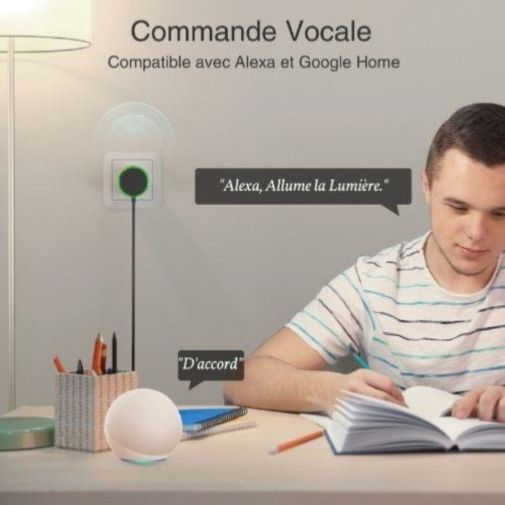 Prise Connectée Wifi 16A avec 2 Ports USB 2.1A - Pack de 2