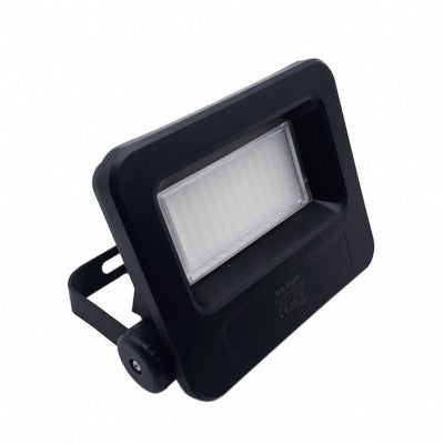 Outdoor LED -projectoren 30W IP65 Black (pakket van 10)