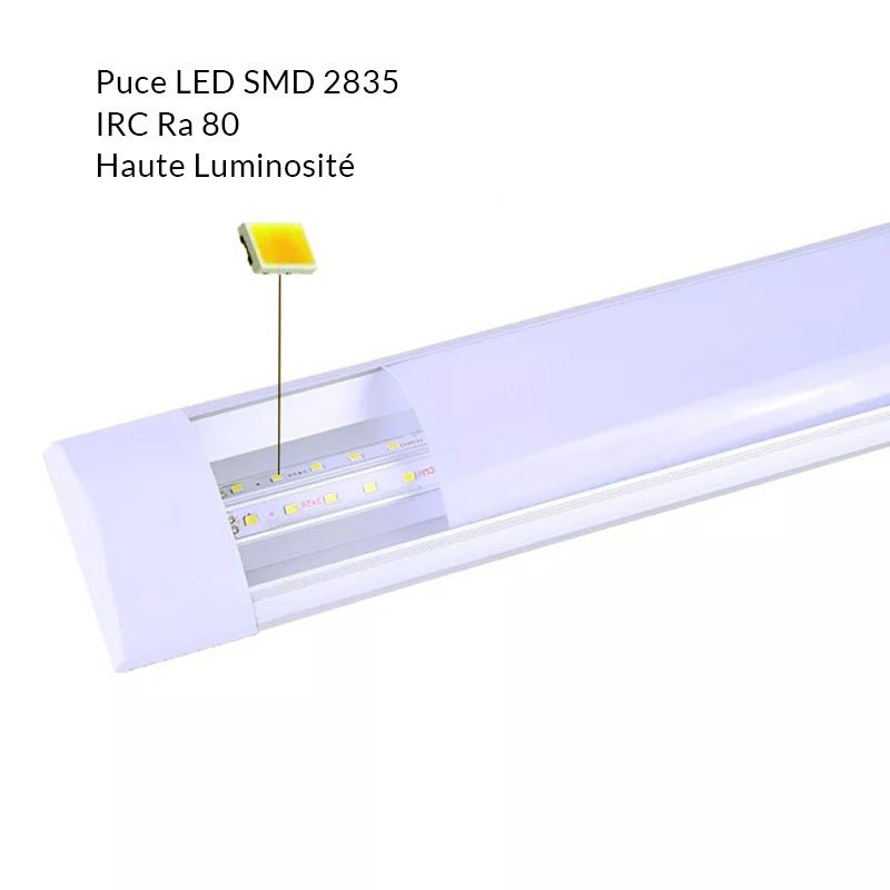 Réglette LED 60cm 18W (Pack de 10)