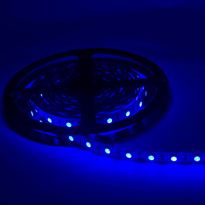 LED -lint 12V 5m Blue IP54 SMD 2835 60LED/M