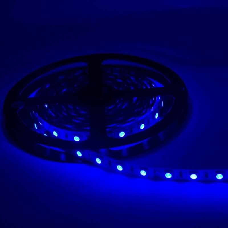 Ruban LED 12V 5M BLEU IP54 SMD 2835 60LED/m