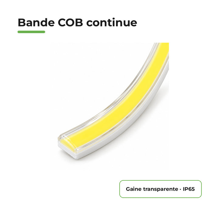 Ruban LED COB 50M 220V Recoupable 50cm IP65 288LED/m