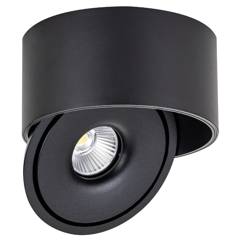 Spot LED en Saillie COB 30W Rond ø176mm Orientable CCT Noir - 3000K/4000K/6000K