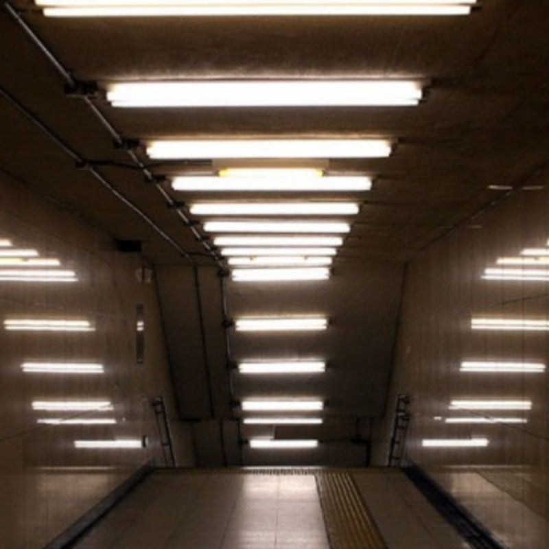 Tube néon LED 120cm T5 18W (Pack de 10)
