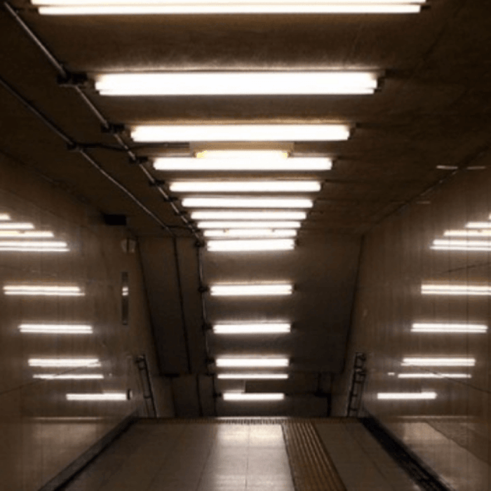 Tube néon LED 150cm T5 24W (Pack de 10)