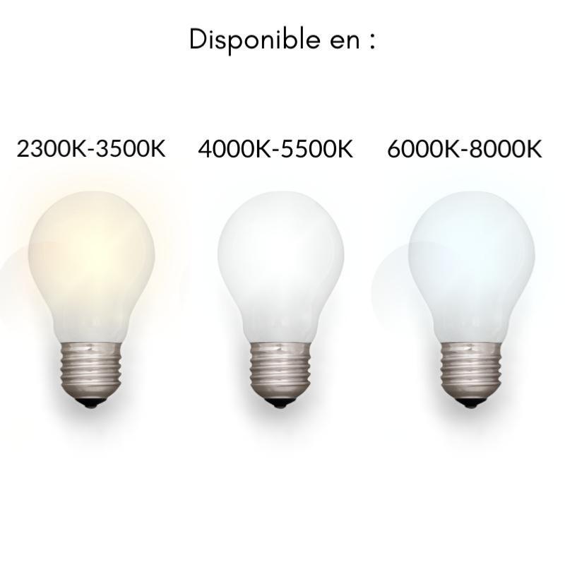 Tube Néon LED T5 60cm 6.5W 2 Têtes Sans Interrupteur