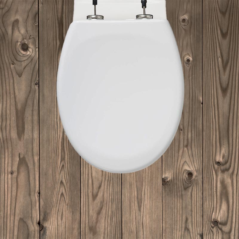 Abattant WC avec Frein de chute - Lunette de toilette Clipsable